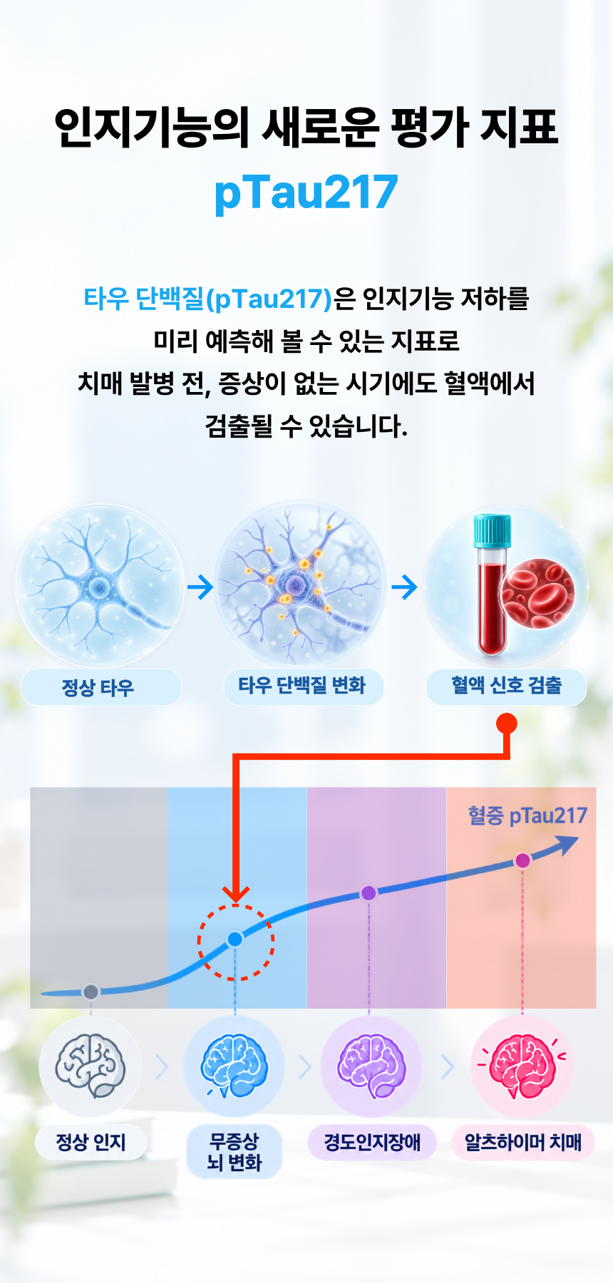 인지기능(치매예방 스크리닝) 분석서비스 상세 설명 4