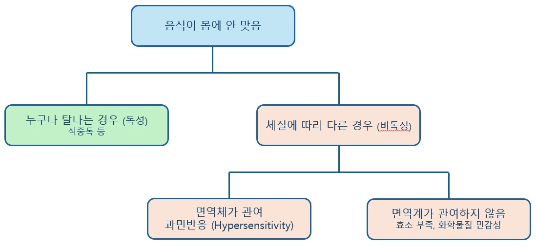 음식으로 인한 독성·비독성 반응과 면역계 관여 여부 분류