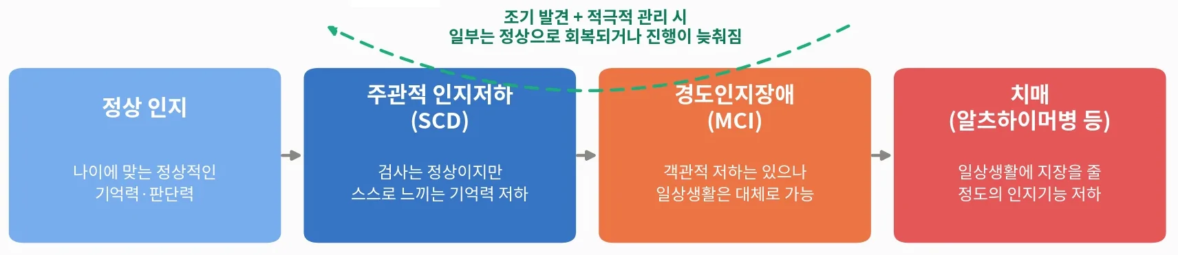 [그림 2] 인지기능 저하의 스펙트럼: 정상에서 치매까지