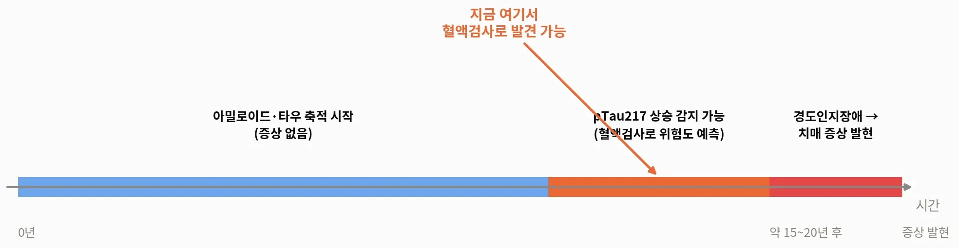 [그림 2] 증상이 나타나기 훨씬 전부터, 뇌 속 변화는 이미 시작됩니다